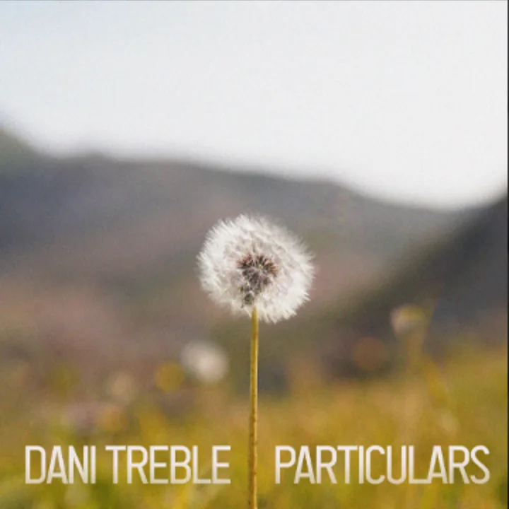 Particulars cover